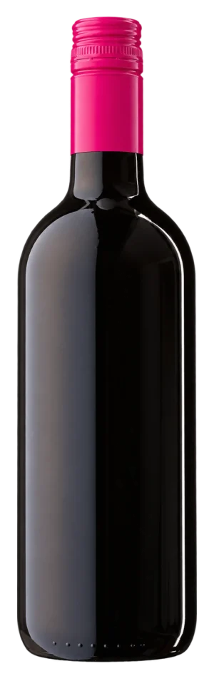 Flasche Traubensaft Rot 2025